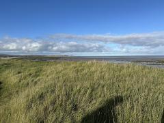 View across to Hinkley